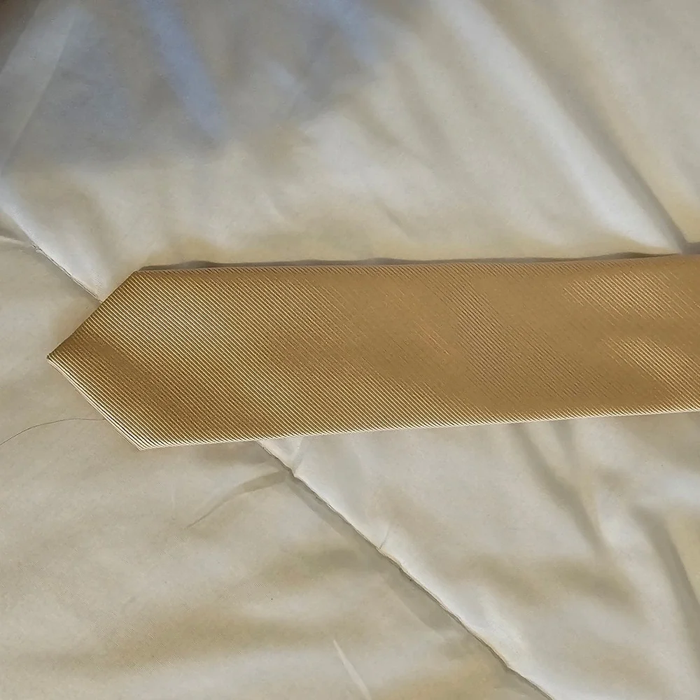 Elegant Champagne Gold Textured‎ Necktie for Men Formal Business Accessory
